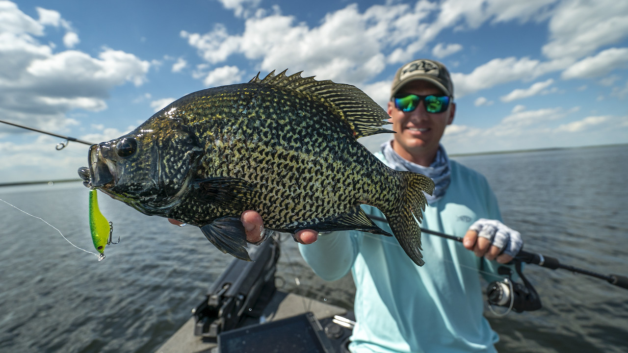 Spybait Crappies  New Lure Trends That Work! - Wired2Fish