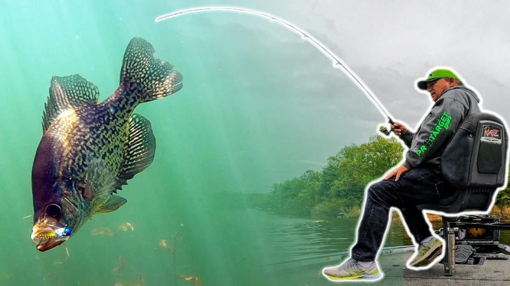6 Tips for Successful Crappie Fishing - Wired2Fish