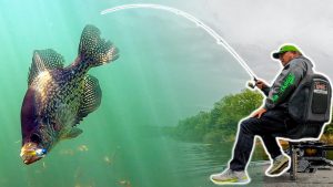 6 Tips for Successful Crappie Fishing