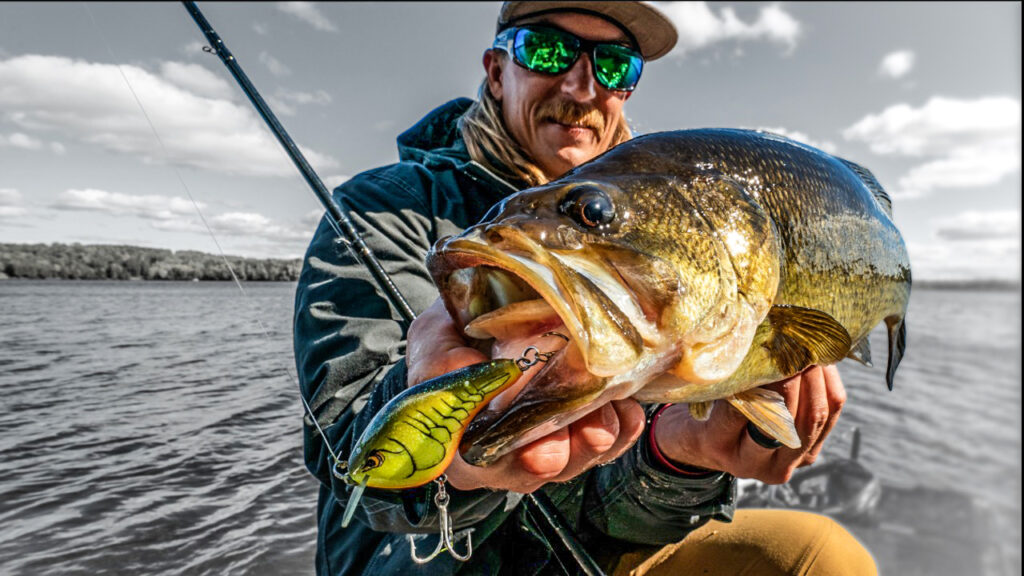 3 Tips to Improve Bed Fishing for Bass - Wired2Fish