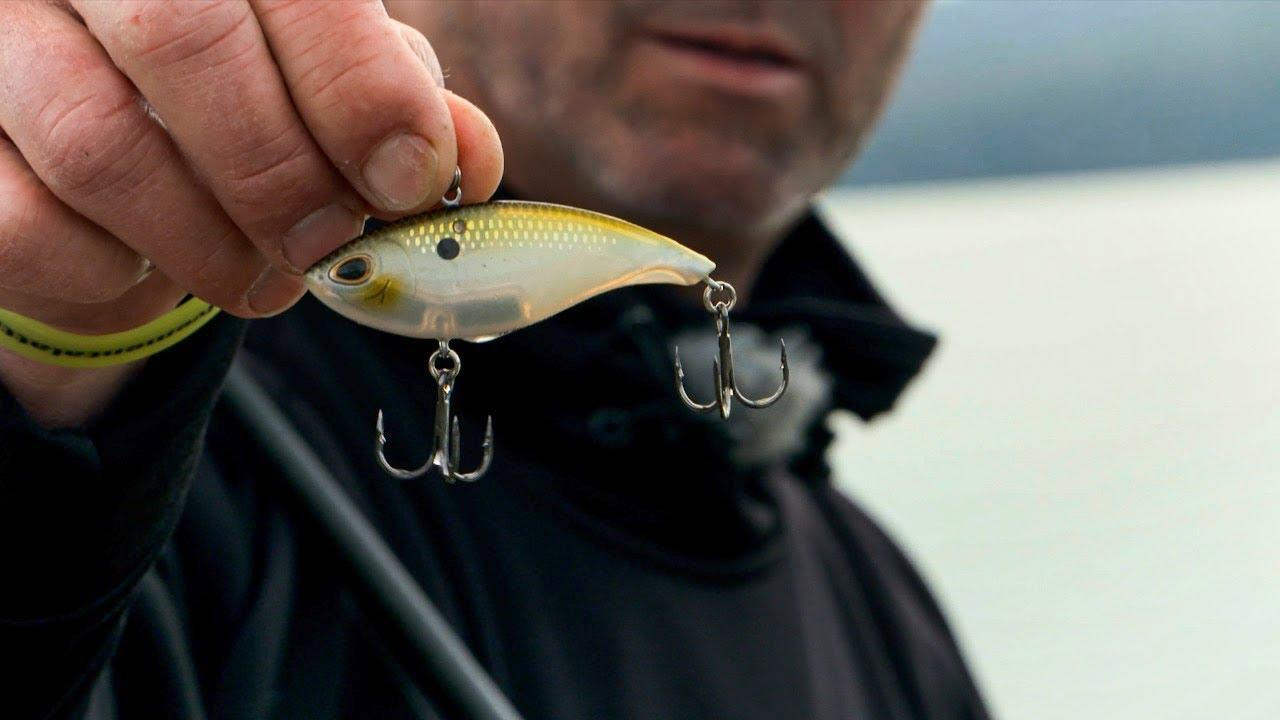 GMAN's 4 Lipless Crankbait Bass Tips for Winter and Prespawn - Wired2Fish