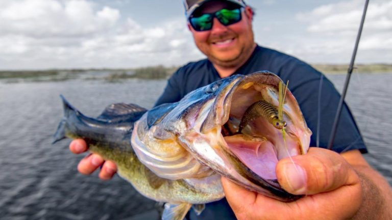 How to Pair Swimbaits on Swim Jigs for Stingy Bass