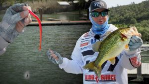 How to Power Drop Shot Springtime Bass (Bubba Shot)