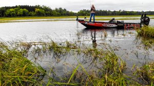 Bass Fishing Rivers (Grassy) | Tips to Find Good Spots