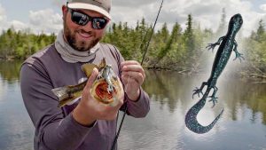 Bass Fishing Soft Plastic Lizards | Late Spring Tactics