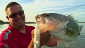 Fish Lead in Banks for Bass with a Crankbait