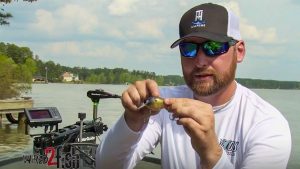 5 Proven Crankbait Colors That Catch Big Bass