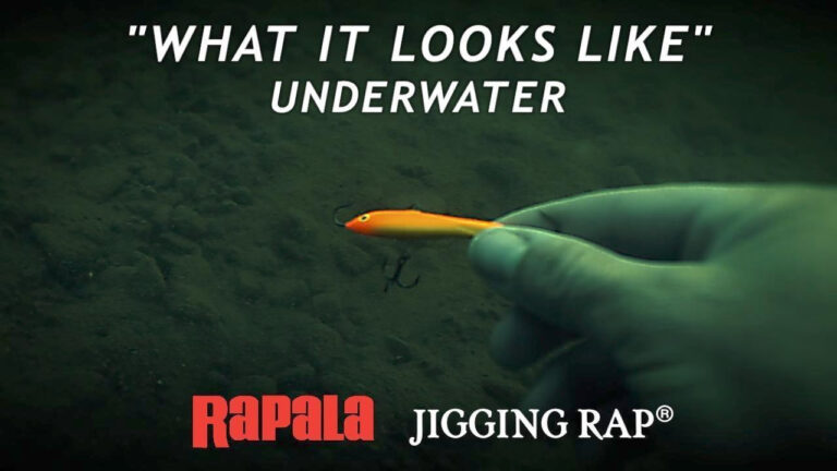 Rapala Jigging Rap | What it Looks Like Underwater