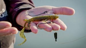 The 2 Most Important Considerations in Cold Front Bass Fishing