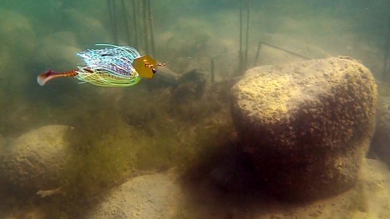 ChatterBait Blade Colors | What it Looks Like Underwater