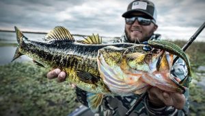 Texas Rigging Paddle Tail Swimbaits: When, Where, and How