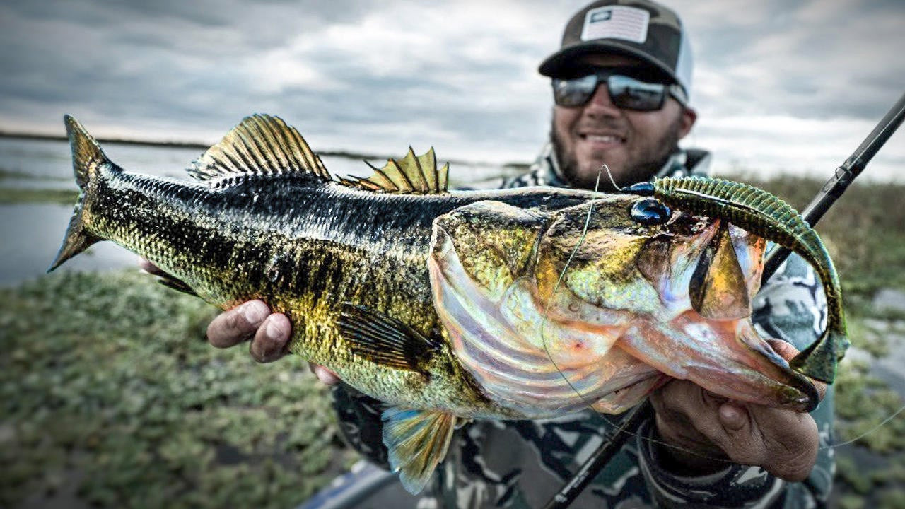 Texas Rigging Paddle Tail Swimbaits: When, Where, and How - Wired2Fish