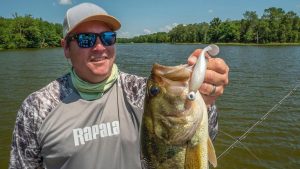 4 Tips for Paddle Tail Swimbait Fishing Summer Bass