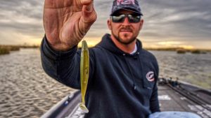 Twitching Weightless Swimbaits for Winter Bass Fishing