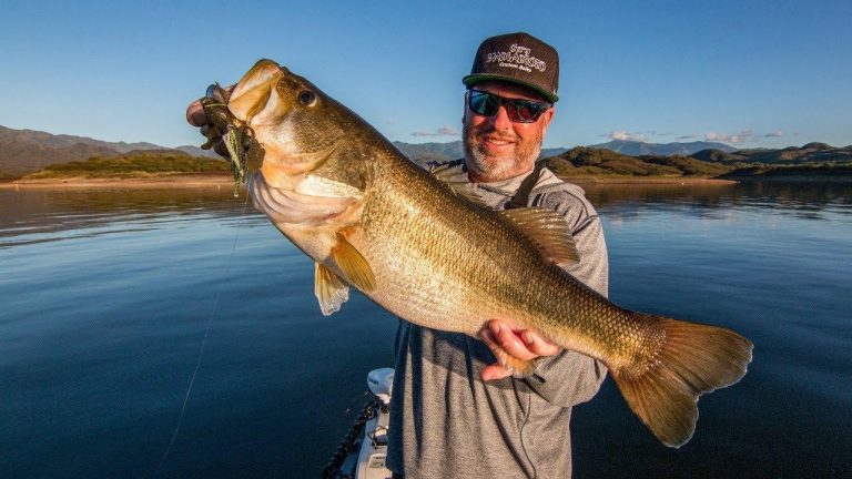 3 Reasons ChatterBaits are a Dominant Bass Fishing Lure