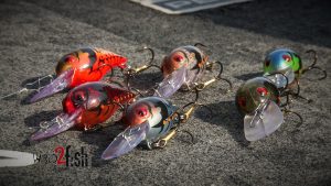 Why Crankbait Color is Important [Video]