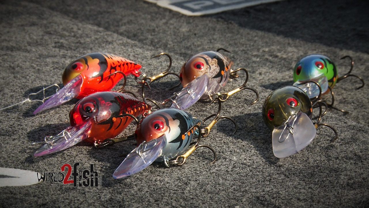 Why Crankbait Color is Important [Video] - Wired2Fish