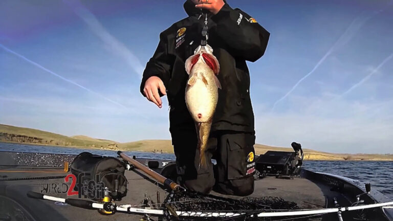 Angler Breaks Smallmouth Bass Record in SD
