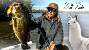 Feider’s Fall Junk Fishing Mindset | Key Baits and Locations