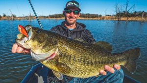 How to Catch More Winter Bass with Lipless Crankbaits