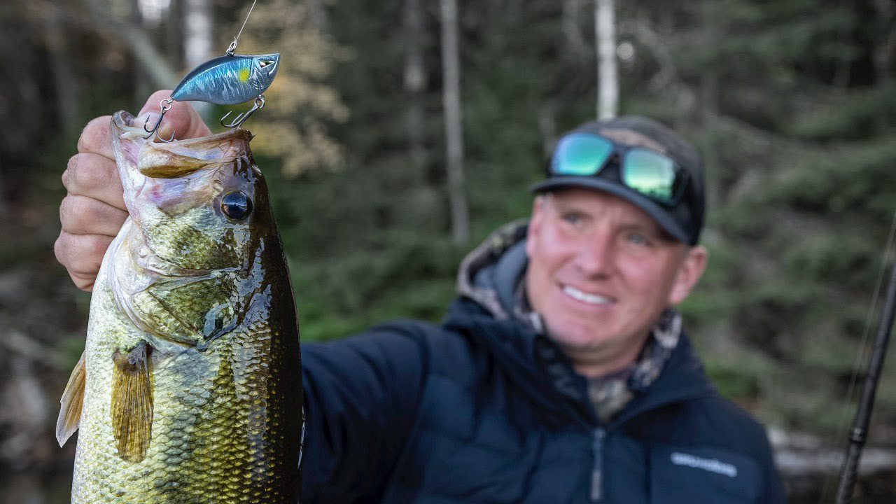 Basic Lipless Crankbait Tips for Fall Bank Beating - Wired2Fish