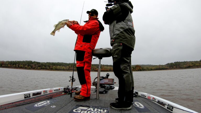 Catch More Shallow Fall Bass with Jigs and Crankbaits