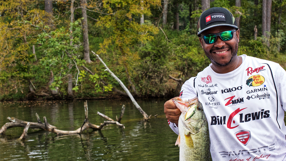 2 Easy Ways to Improve Your Lipless Crankbait Fishing this Fall - Wired2Fish