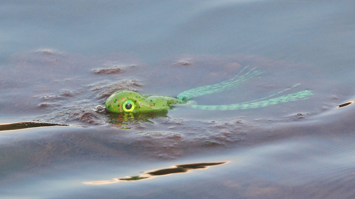 Vicious Fishing: Pad Runner Hollow Body Frog Product Review – The