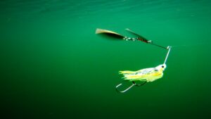 6 Spinnerbait Tips to Catch More Fall Smallmouth Bass