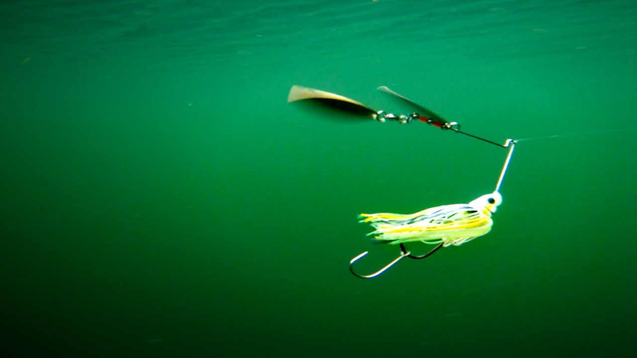 6 Spinnerbait Tips to Catch More Fall Smallmouth Bass - Wired2Fish