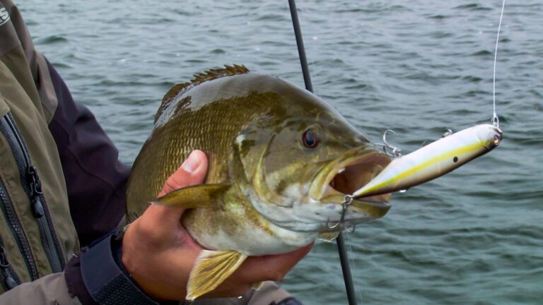 Key Tips for Fishing Topwater Baits in Choppy Water