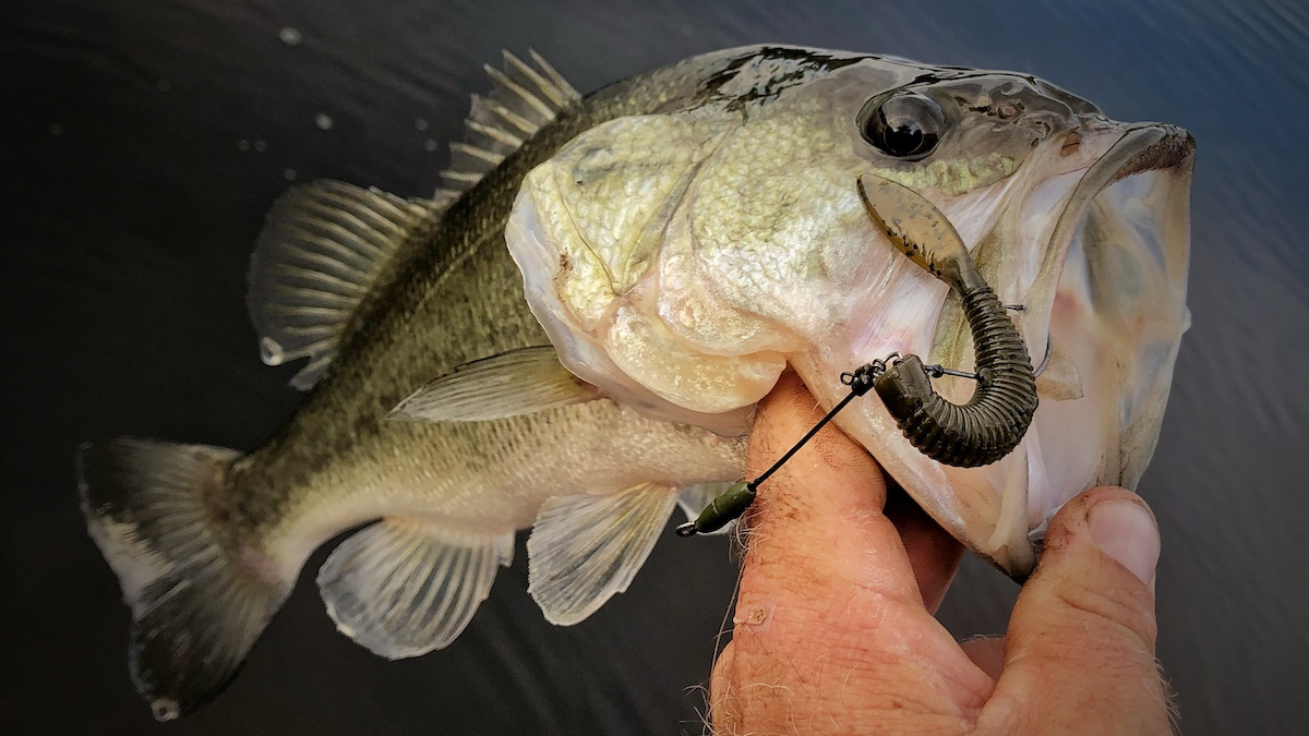 Alabama Rig: Hottest technique in years! - Bassmaster