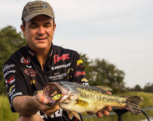How to Choose the Right Topwater Bass Lure