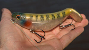 StutterStep 4.0 By Bill Lewis Top Water Hard Bait 4 CHOOSE YOUR COLOR!