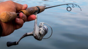 Pflueger Trion Spinning Reel, Size 20 Fishing Reel
