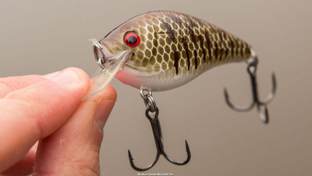 XCalibur XCS Square Lip Crankbait Review - Wired2Fish