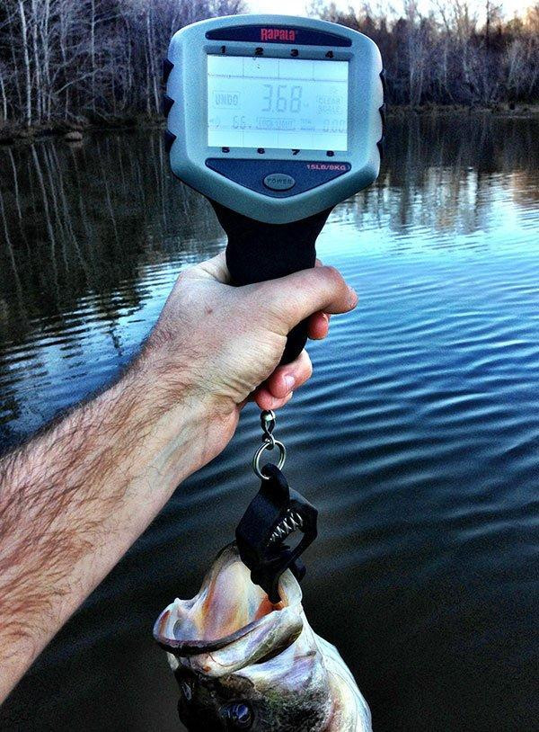 rapala-touch-screen-scale-with-bass.jpg