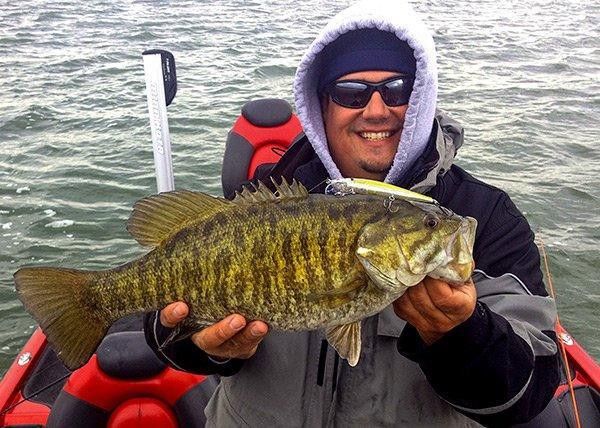 A Quick Guide to Bass Fishing Jerkbaits - Wired2Fish