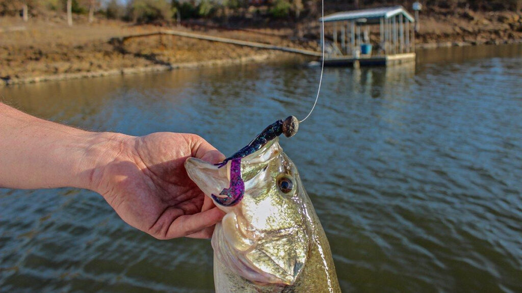 5 MustHave Trailers for Swinging Jigheads Wired2Fish