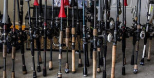 rod-and-reels-for-fishing.jpg