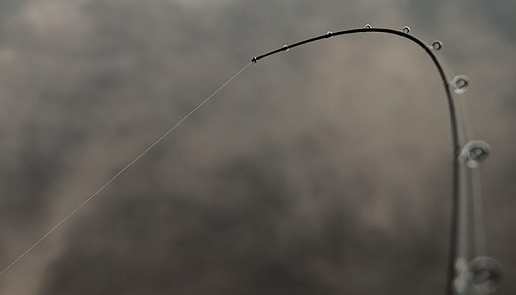 Denali Jadewood J2 Series Casting Rod Review Wired2Fish