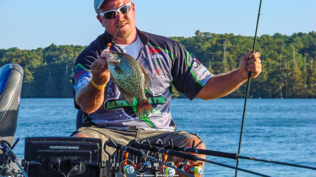 Learn to Spider Rig Big Crappie Now - Wired2Fish