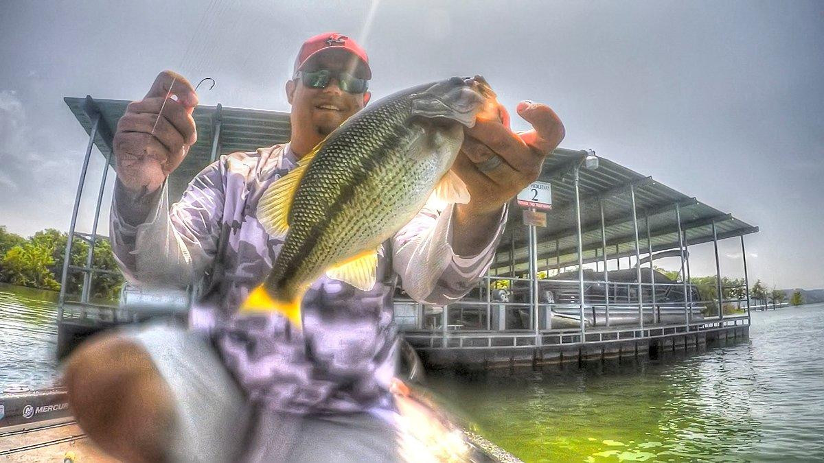 Zoom Z3 Hand Poured Swamp Crawler Review - Wired2Fish