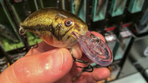 New Crankbaits for 2016 - ICAST - Wired2Fish