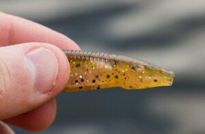 Netbait Little Spanky Review - Wired2Fish