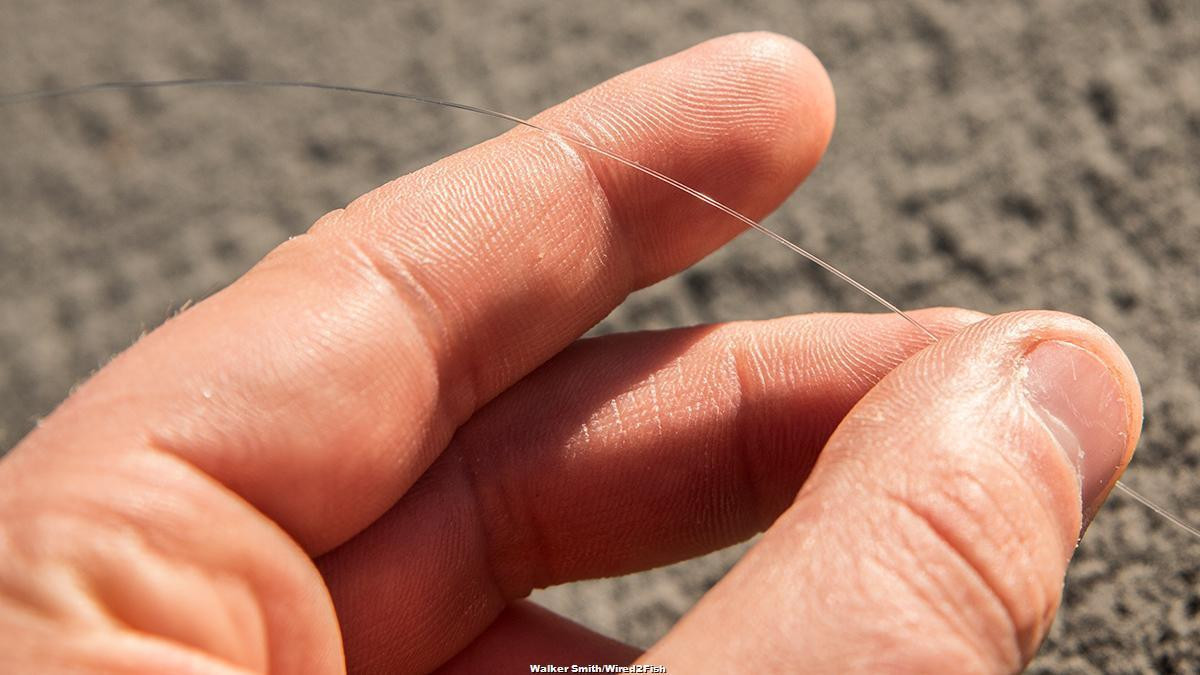 Kevin VanDam's Line and Lure Conditioner Review Wired2Fish