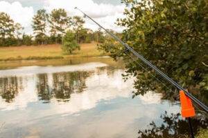 Shakespeare Bank Stick Review - Wired2Fish