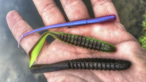 YUM Drop Shot Baits Review - Wired2Fish