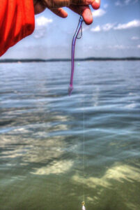 YUM Drop Shot Baits Review - Wired2Fish