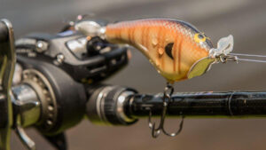 Black Label Tease Prop Bait Review - Wired2Fish